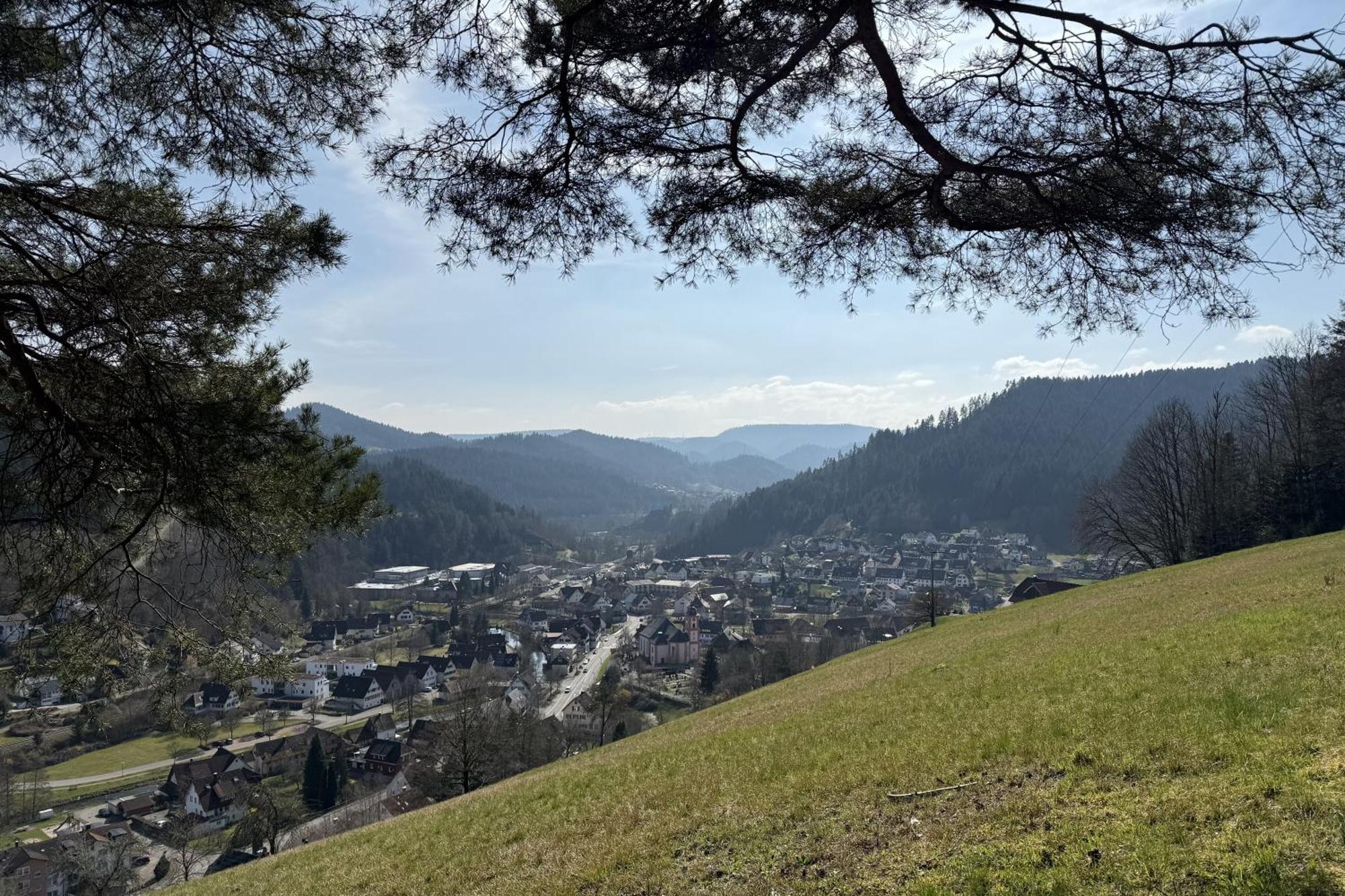 Schwarzwald Blockhaus - Sauna - Kamin - Mit Bettwaesche Und Handtuecher Schenkenzell Eksteriør bilde