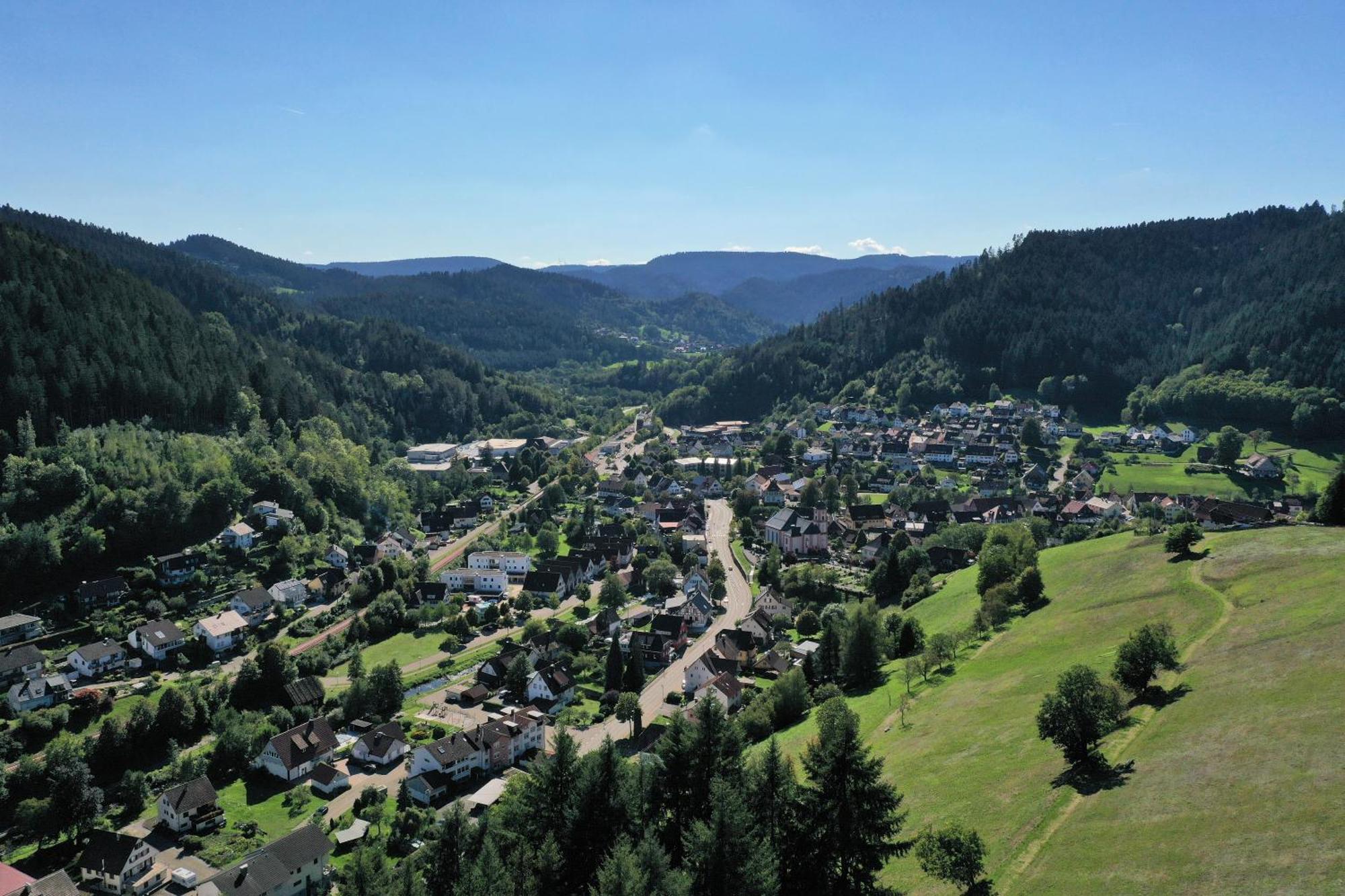 Schwarzwald Blockhaus - Sauna - Kamin - Mit Bettwaesche Und Handtuecher Schenkenzell Eksteriør bilde