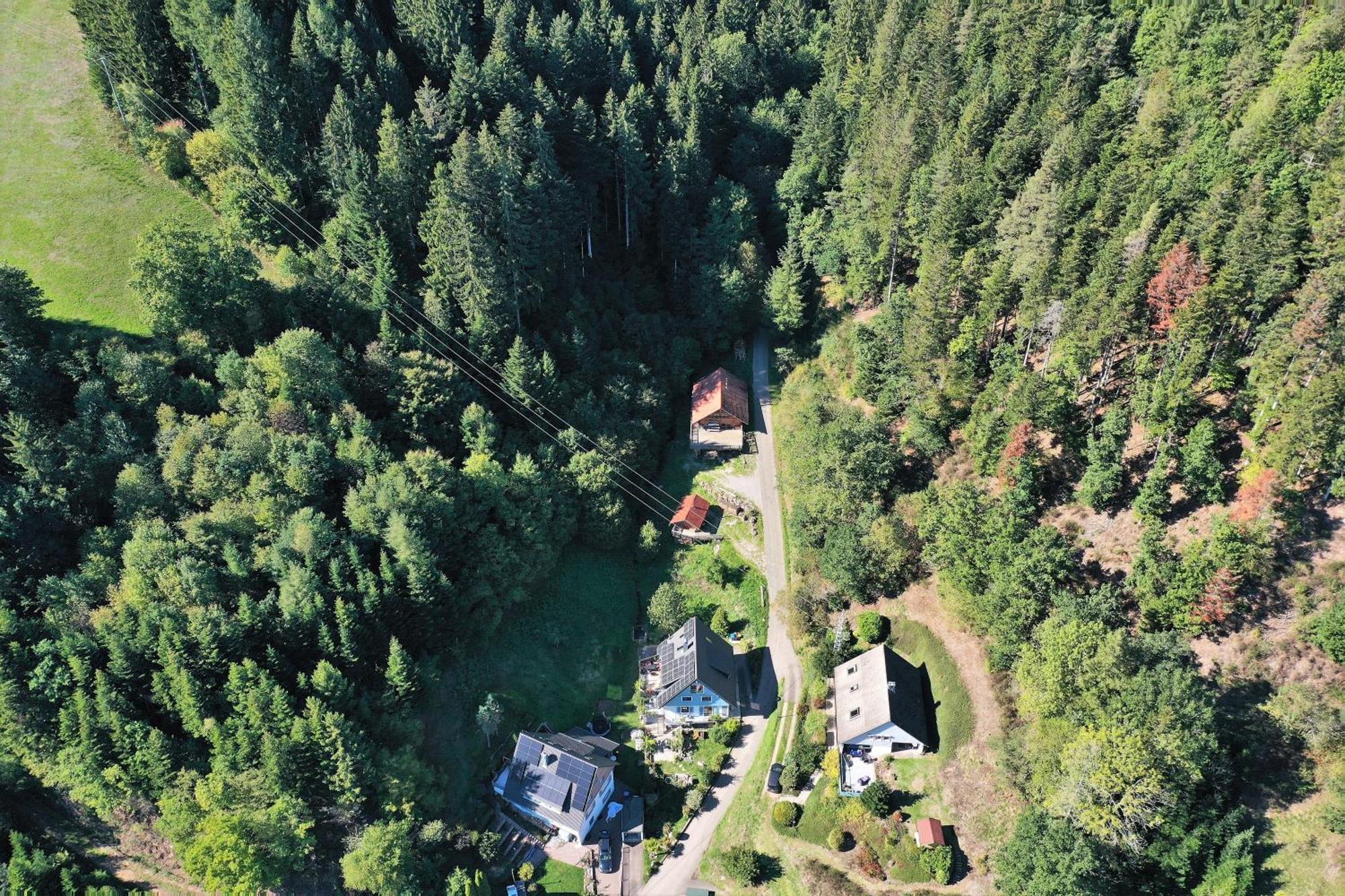 Schwarzwald Blockhaus - Sauna - Kamin - Mit Bettwaesche Und Handtuecher Schenkenzell Eksteriør bilde